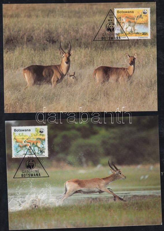 WWF: Antelopes set 4 pieces in CM, WWF: Antilopok sor 4 db CM-en