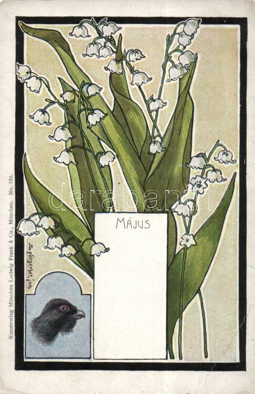 May, lily of the valley s: Splitgerber, Május, gyöngyvirág s: Splitgerber