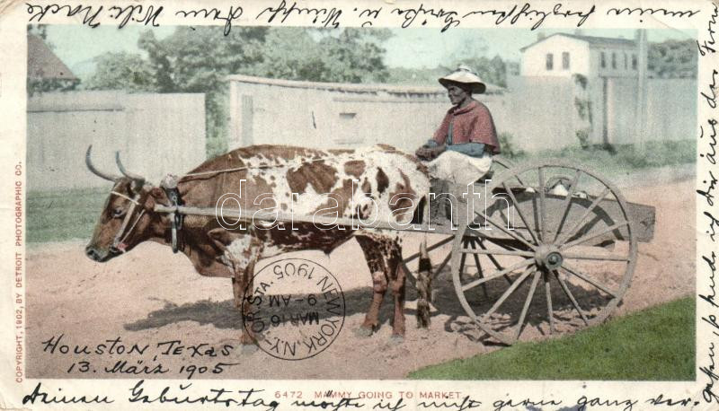 'Mammy' going to market, folklore, "Mammy" piacra megy, folklór