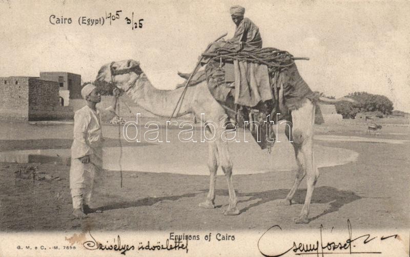 Kairó, egyiptomi folklór, teve, Cairo, Egyptian folklore, camel