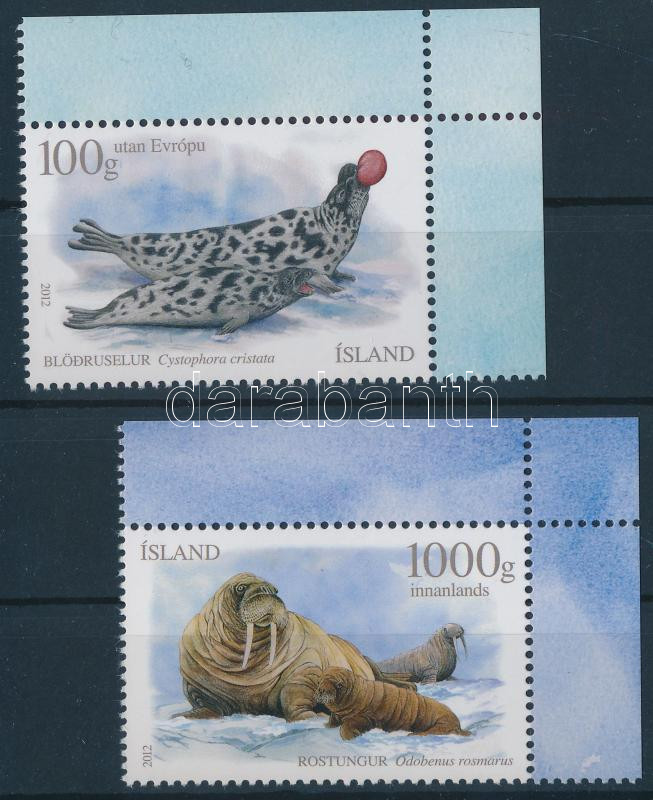 Seals, Fókák