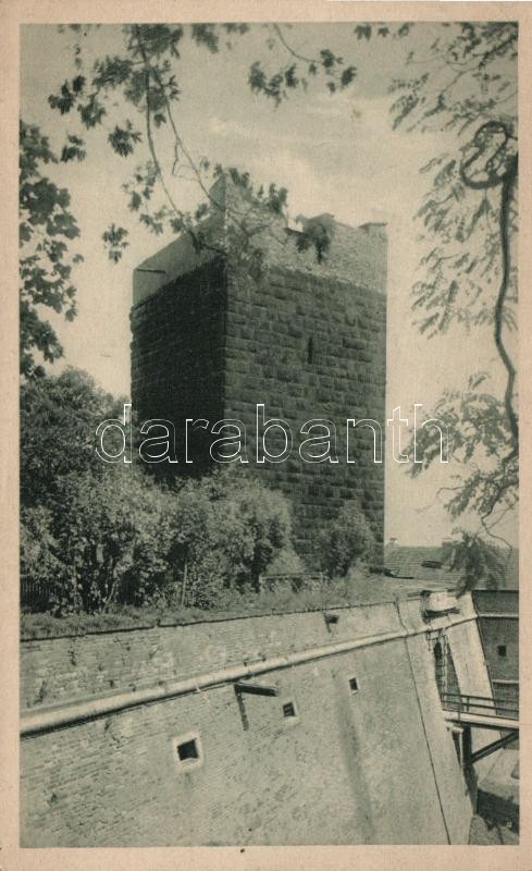 Cheb, Eger; Kaiserburg, schwarzer Turm / castle tower 