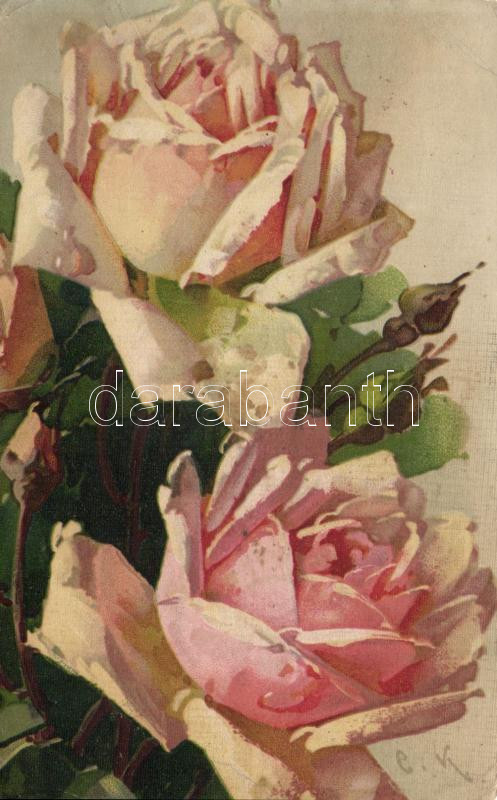 Rose, litho, Rózsák, litho