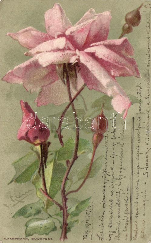 Rózsa litho, s: C. Klein, Flower litho, s: C. Klein