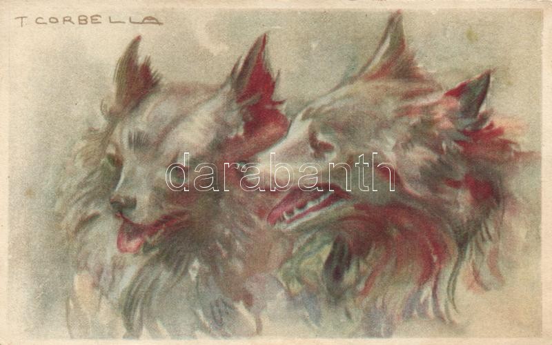 Italian art postcard, dogs, Degami 577. s: T. Corbella, Olasz kutyás művészi képeslap, Degami 577. s: T. Corbella