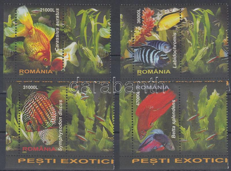 Tropical fishes corner set, Trópusi halak ívsarki sor