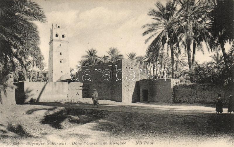 Paysages Sahariens, Dans l'Oasis, une mosque /  A mosque in the Sahara, folklore, Szahara, oázis, mecset, folklore