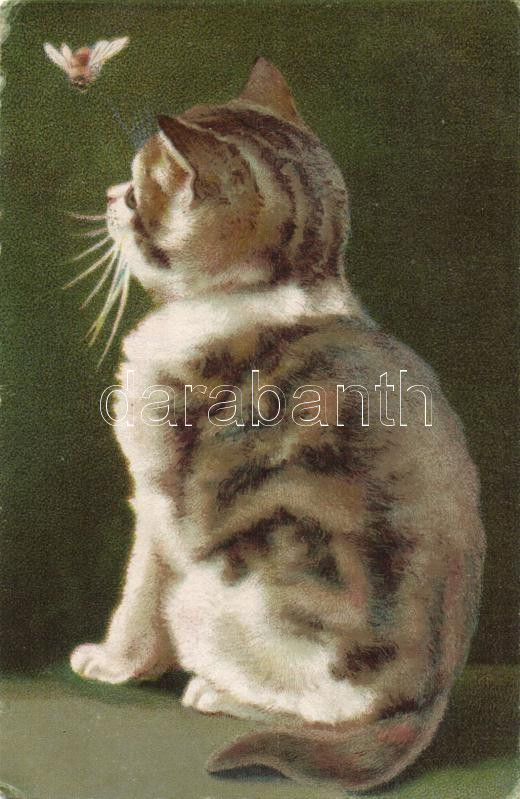 Macska, Wenau-Pastell No. 605. litho, Cat, Wenau-Pastell No. 605. litho