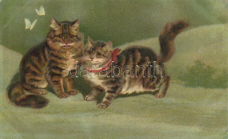 Cat, Wenau-Pastell No. 937. litho, Macskák, Wenau-Pastell No. 937. litho