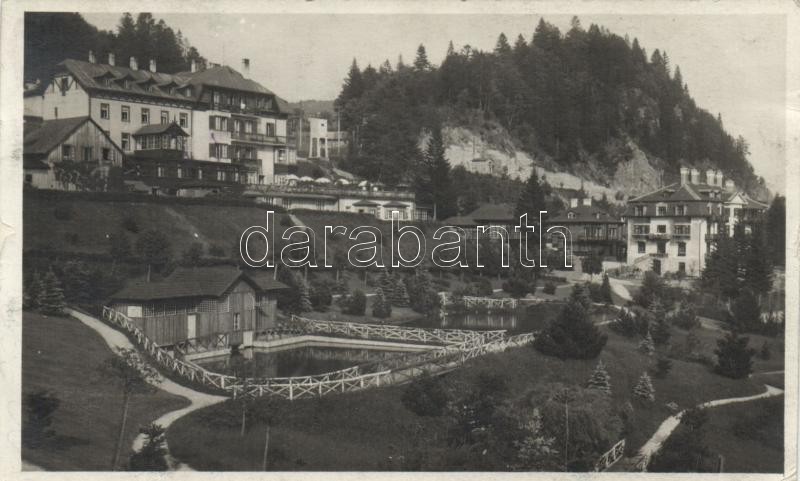 Gösing hotel