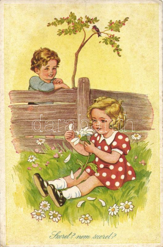 'Loves me loves me not?' children, romantic postard, Karinger, Budapest no. 213, 'Szeret nem szeret?' gyerekek, romantikus, Karinger, Budapest 213. sz.