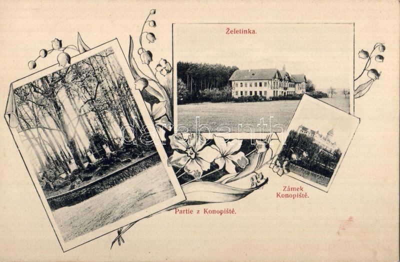 Benesov, Zámek Konopiste, Zeletinka / castle, floral