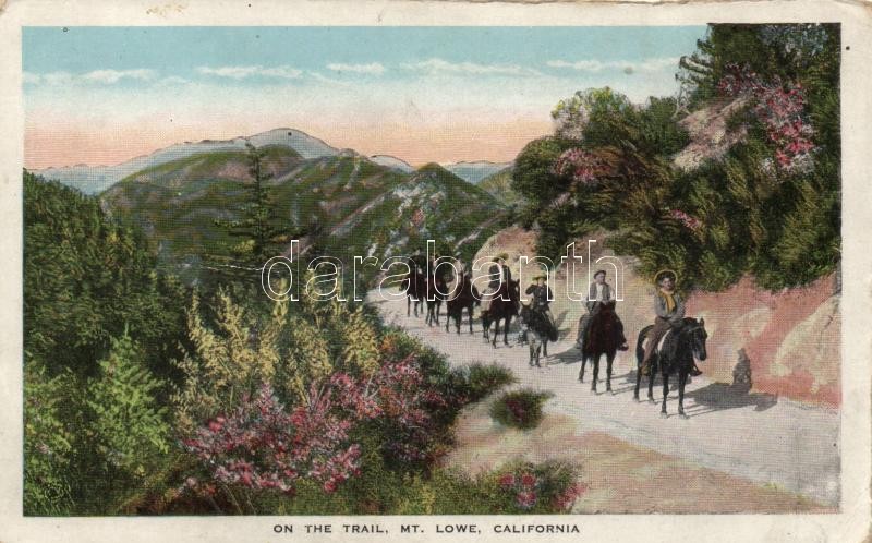 Mount Lowe, California, horses