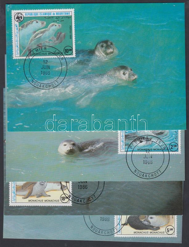 WWF: Seals set on 4 CM, WWF: Fókák sor 4 db CM-en