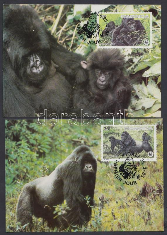 WWF: Gorillas set on 4 CM, WWF: Gorillák sor 4 db CM-en