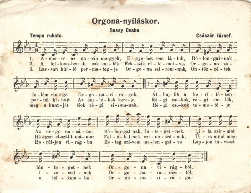 'Lilac blooming' Sassy Csaba, Hungarian song, sheet music, 'Orgona nyíláskor' Sassy Csaba, kotta