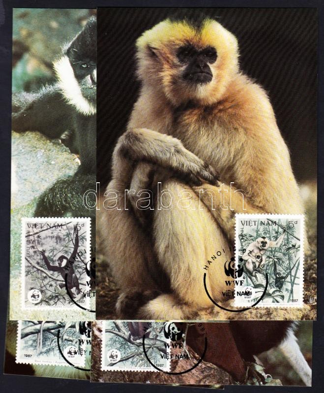 WWF: Monkeys set on 4 CM 70 days earlier than the official release date, WWF: Majmok sor 4 db CM-en a hivatalos megjelenéshez képest 70 nappal korábbi dátummal