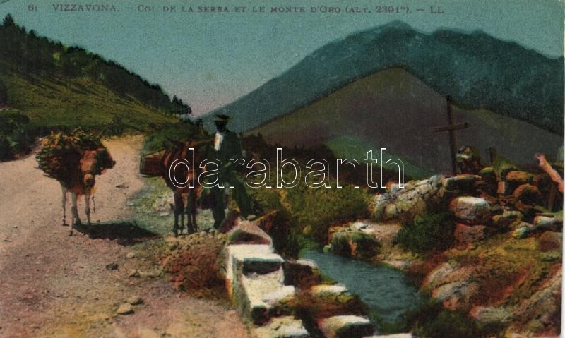 Vizzavona, Monte d'Oro, Col de la Serra / mountain, pass, cemetery, donkeys