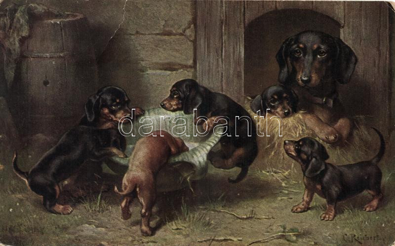 Dachshund, T.S.N. Serie 1541 s: C. Reichert, Tacskók, T.S.N. Serie 1541 s: C. Reichert