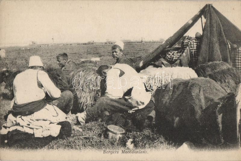 Macedonian shepherds, Macedón juhászok
