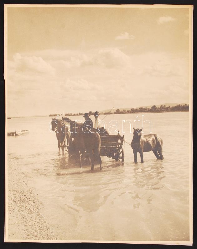 cca 1920-1930 Kocsi mosás, ló fürösztés a Dunában, ismeretlen szerző vintage fotóművészeti alkotása, 28x22 cm