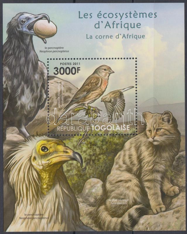 African wildlife - birds, wildcat block, Afrikai élővilág - blokk madarak, vadmacska