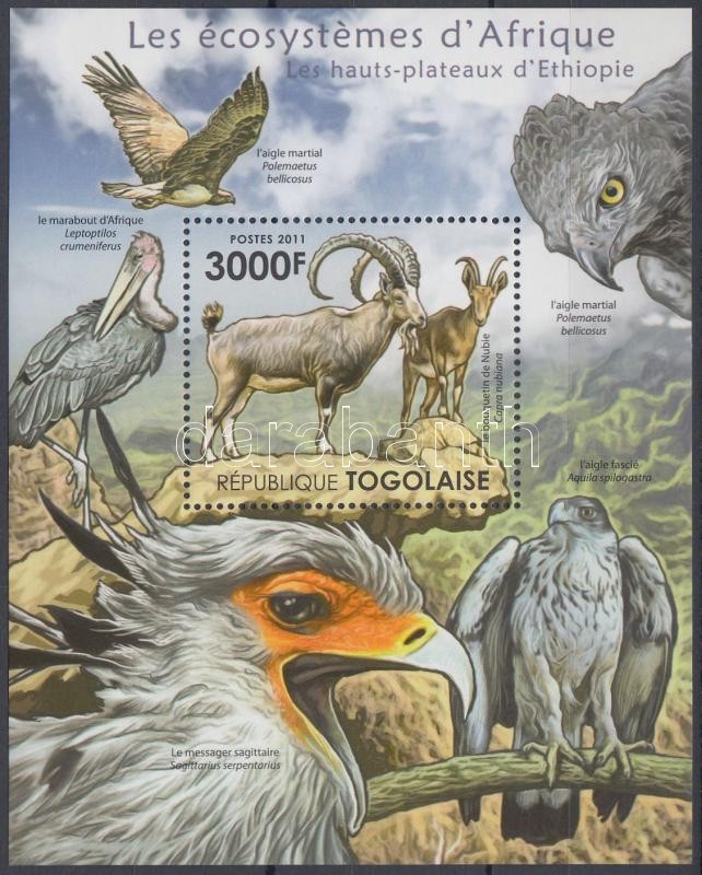 Afrikai élővilág - kőszáli kecske, ragadozó madarak blokk, African wildlife - ibex, birds of prey block