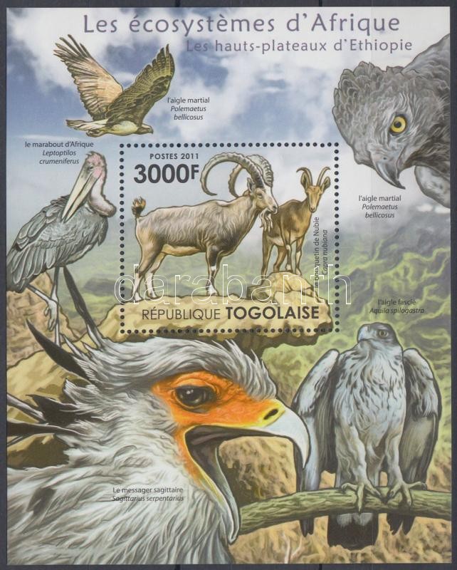 African wildlife - ibex, birds of prey block, Afrikai élővilág - kőszáli kecske, ragadozó madarak blokk