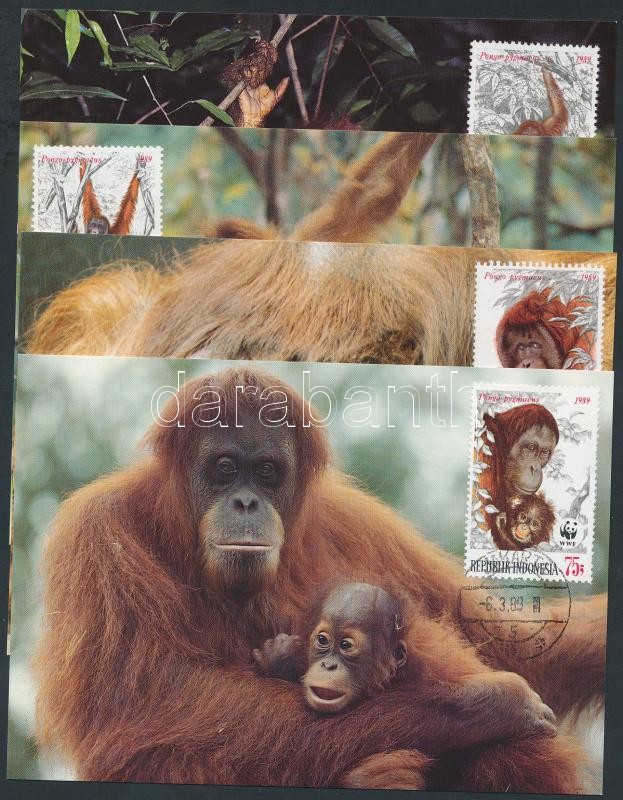 WWF Orangutans set on 4 CM, WWF Orángután sor 4 CM