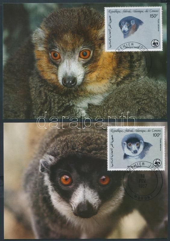 Montagu's lemur set on 4 CM, Hamvas maki sor 4 CM