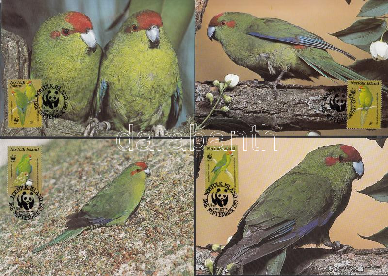 WWF Parrots set 4 CM, WWF papagáj sor 4 CM