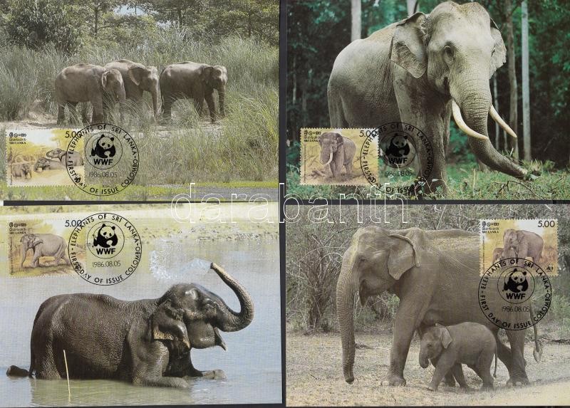 WWF Elefántok sor 4 CM, WWF elephants set on 4 CM