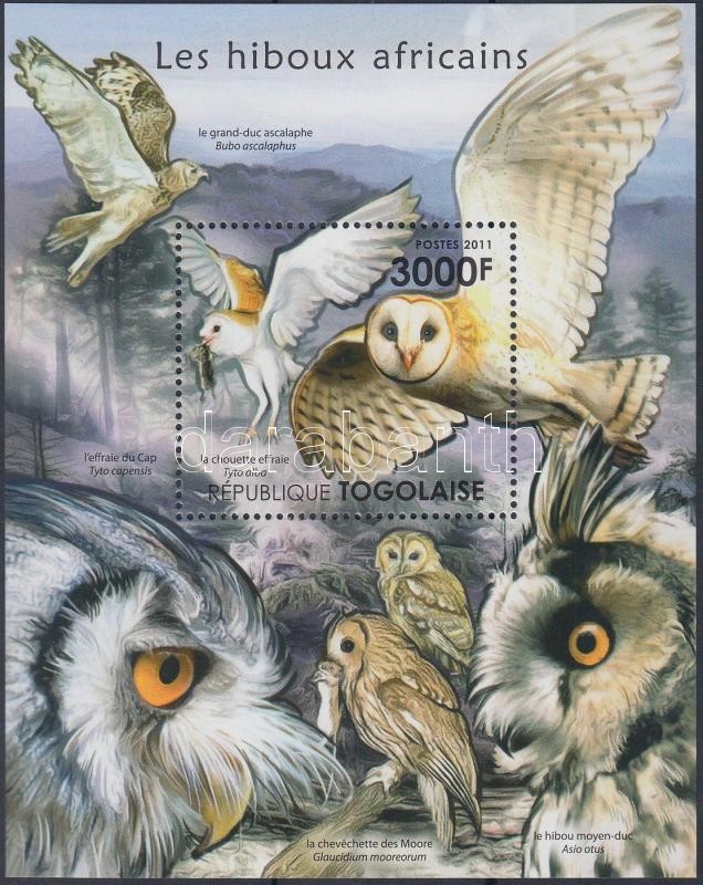 African owls block, Afrikai baglyok blokk