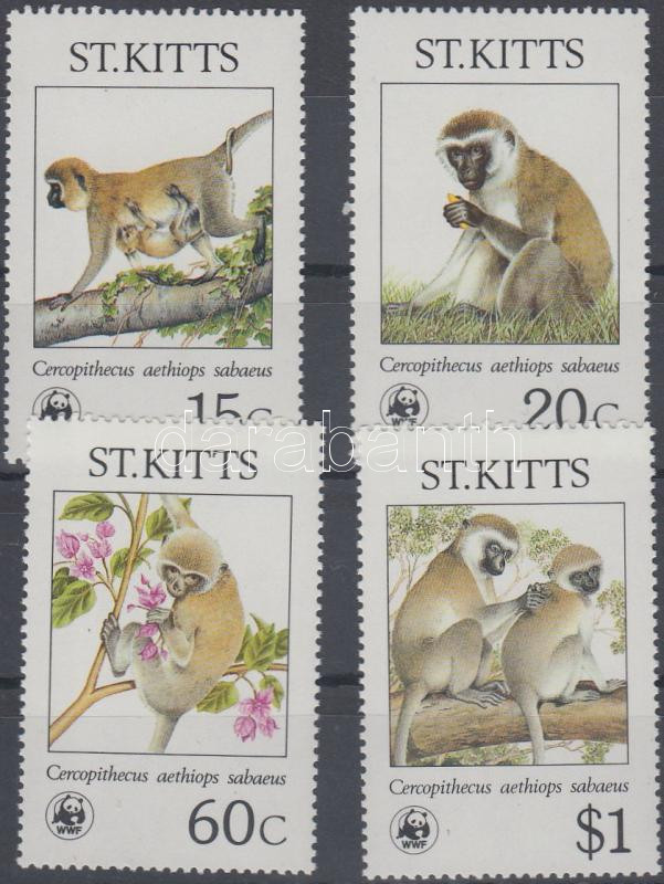 WWF Monkeys set, WWF majmok sor