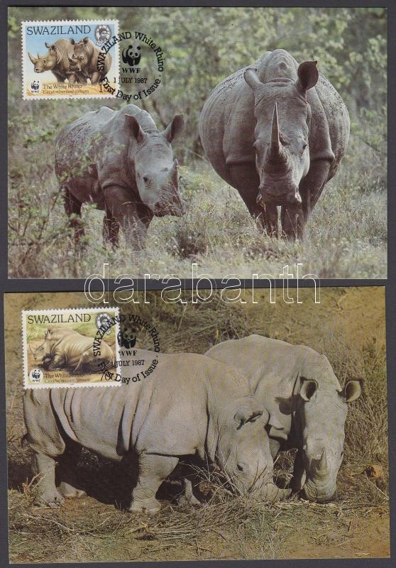 WWF Rhino set on 4 CM, WWF rinocéroszok sor 4 CM