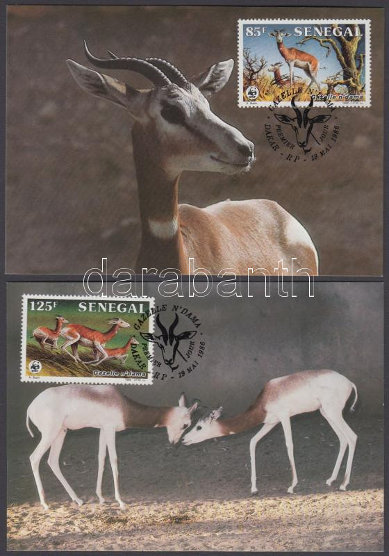 WWF Gazelles set on 4 CM, WWF Gazellák sor 4 CM