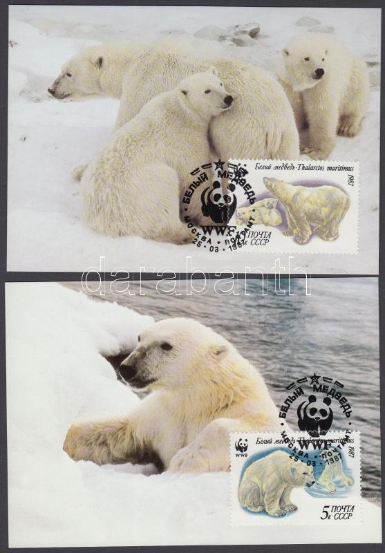 WWF Polar bear set on 4 CM, WWF jegesmedve sor 4 CM