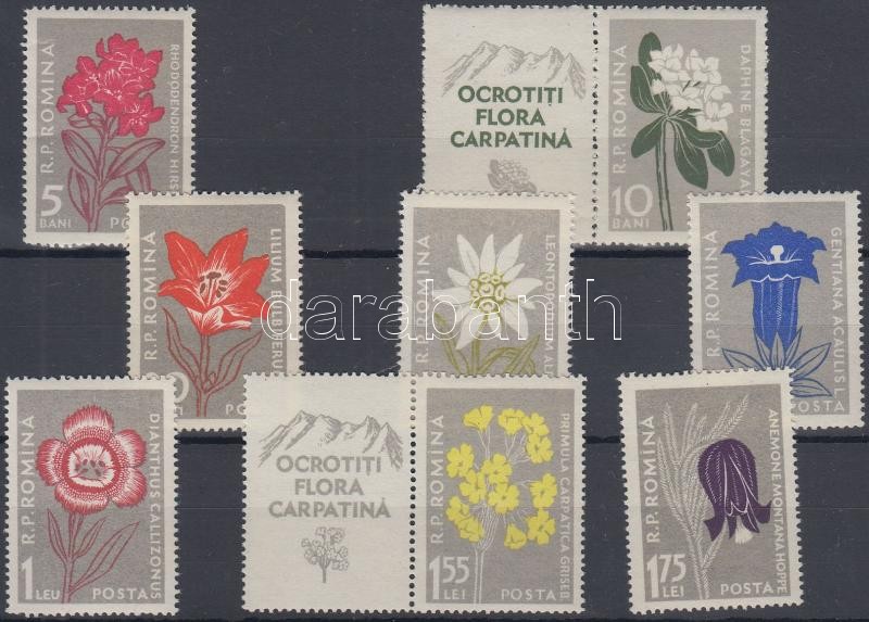 Kárpátok virágai sor (10b és 1,55L szelvénnyel), Flowers of the Carpathians set (10b and 1,55L with coupon)