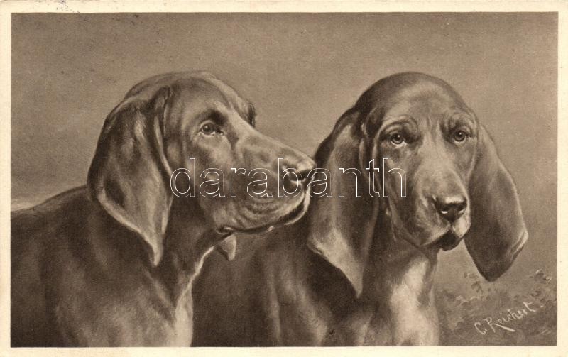 Dogs, TSN Serie 1373. s: C. Reichert, Kutyák, TSN Serie 1373. s: C. Reichert