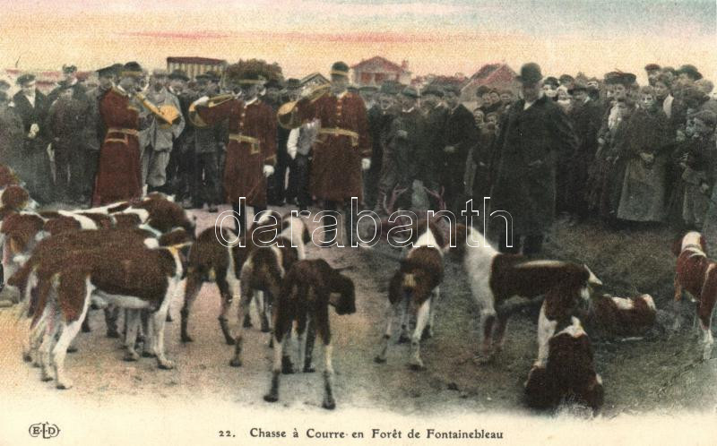 Chasse á Courre en Foret de Fontainebleau / French hunters, Francia vadászok Fontainebleau-nél