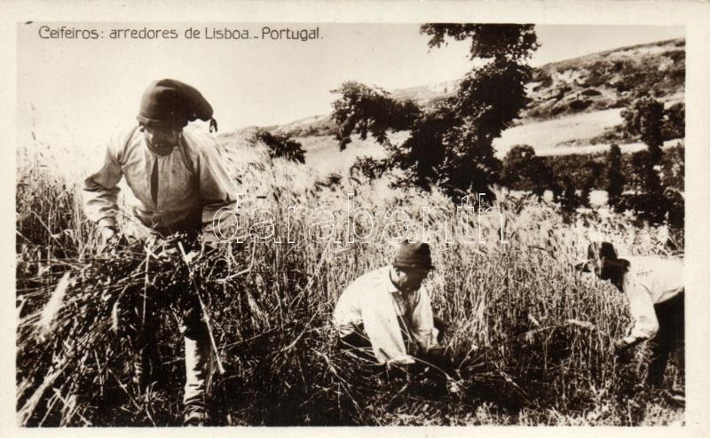 Aratók Lisszabon közelében, portugál folklór, Portugese harvesters, folklore near Lisboa