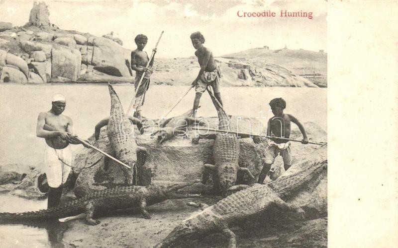 Egyptian folklore, Crocodile hunting, Krokodilvadászat, egyiptomi folklór