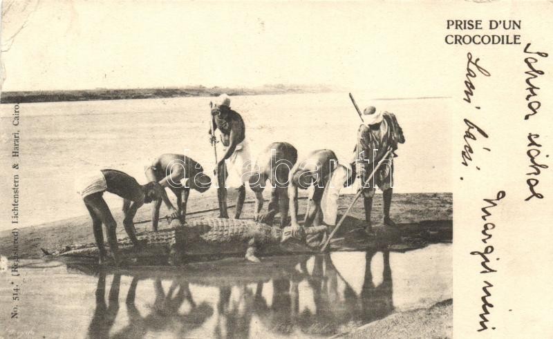 Egyptian folklore, catching a crocodile, Krokodil elejtése.