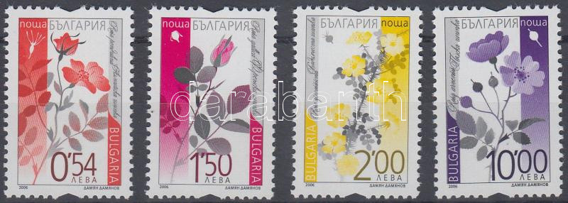 Flower set, Virág sor