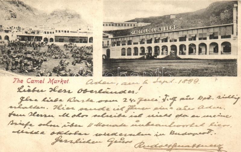 1899 Aden, Camel market, hotel