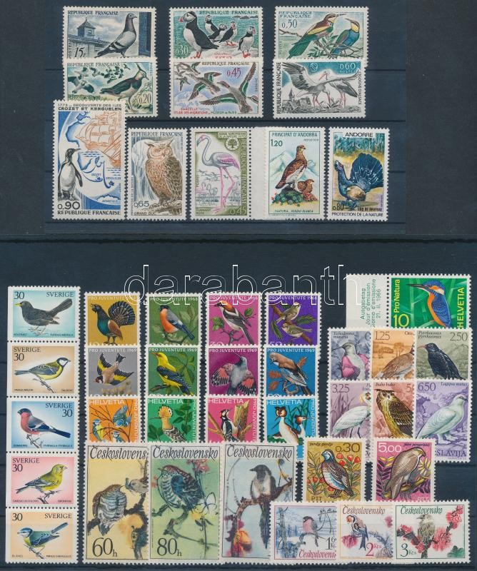 Madarak motívum 43 db bélyeg, közte teljes sorok, 5-ös csík, 2 db stecklapon, Birds 43 stamps with sets, stripe of 4 on 2 stock cards