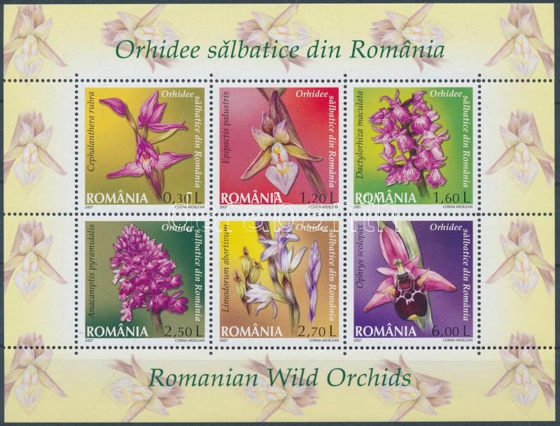 Vadon élő orchideák kisív, Wild orchids minisheet