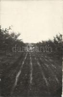 Törökbecse; Wukow Const. fényképész, plow, folklore - 2 db fotó képeslap / 2 old photo postcards