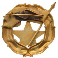 ~1960-1970. "Élelmiszeripar Kiváló Dolgozója" aranyozott, zománcozott fém kitüntetés T:1-