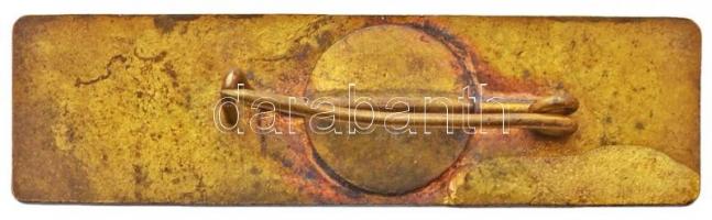 1974. "Pedagógusjelöltek III. Országos Találkozója 1974" zománcozott fém jelvény T:2